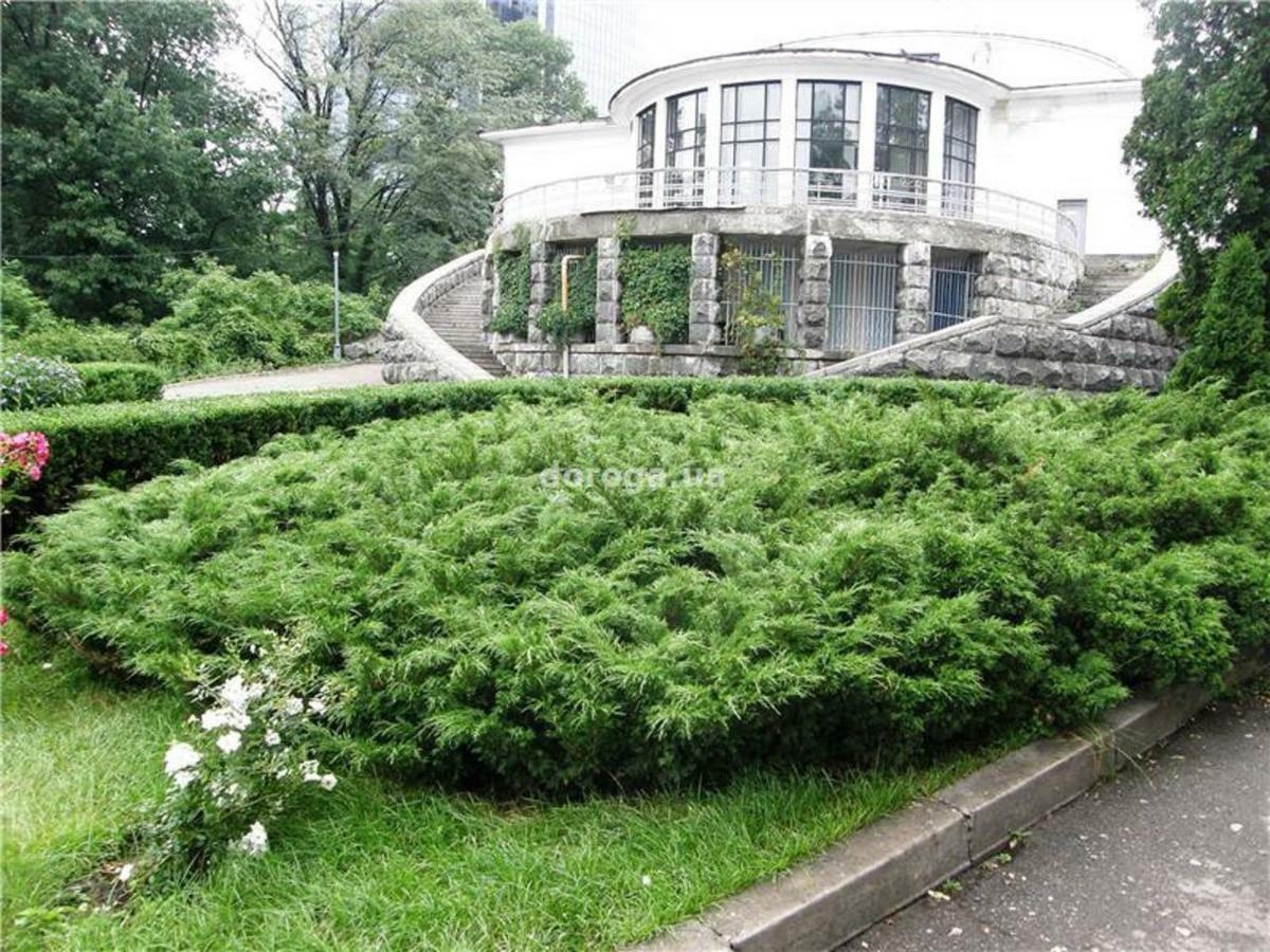 Apartment Location 60m2 In Old Fast Wifi Selfchekin Kiew